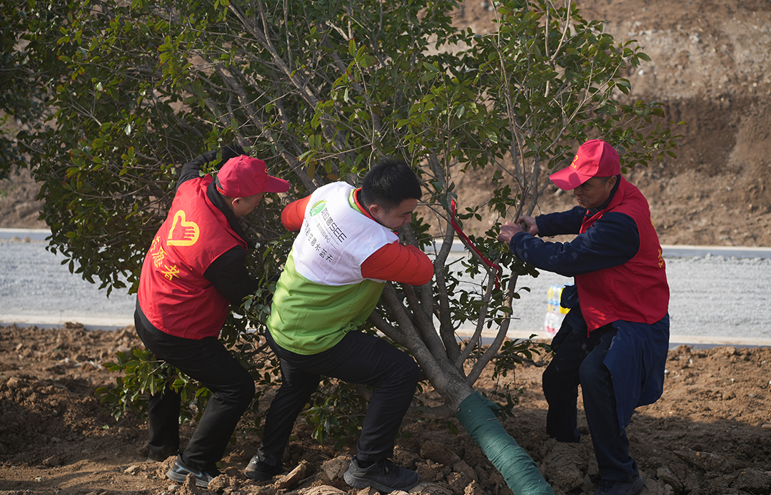 1710301662639411.jpg DSC07459.jpg