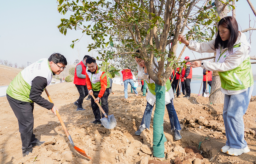 1710301708553205.jpg _DSC1740.jpg